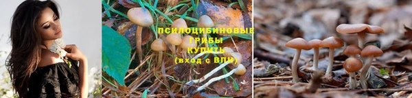 спиды Нефтегорск