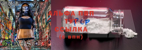 спиды Нефтегорск