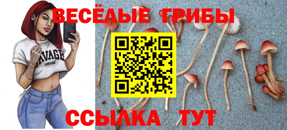 Псилоцибиновые грибы Psilocybe  Псилоцибиновые грибы ЛСД  Апрелевка 