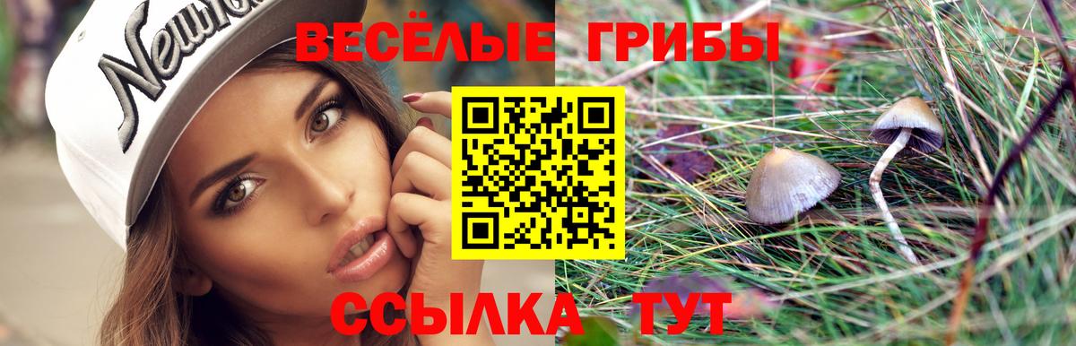 наркотики  Вход с VPN  Псилоцибиновые грибы MAGIC MUSHROOMS  Апрелевка  Галлюциногенные грибы Magic Shrooms 
